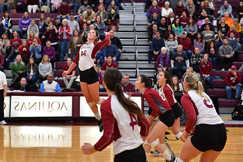 Athletic Coaching at Aquinas College, Grand Rapids, Michigan