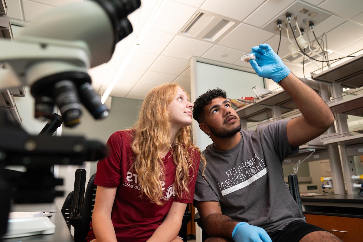 Two students look at a petri dish in a lab